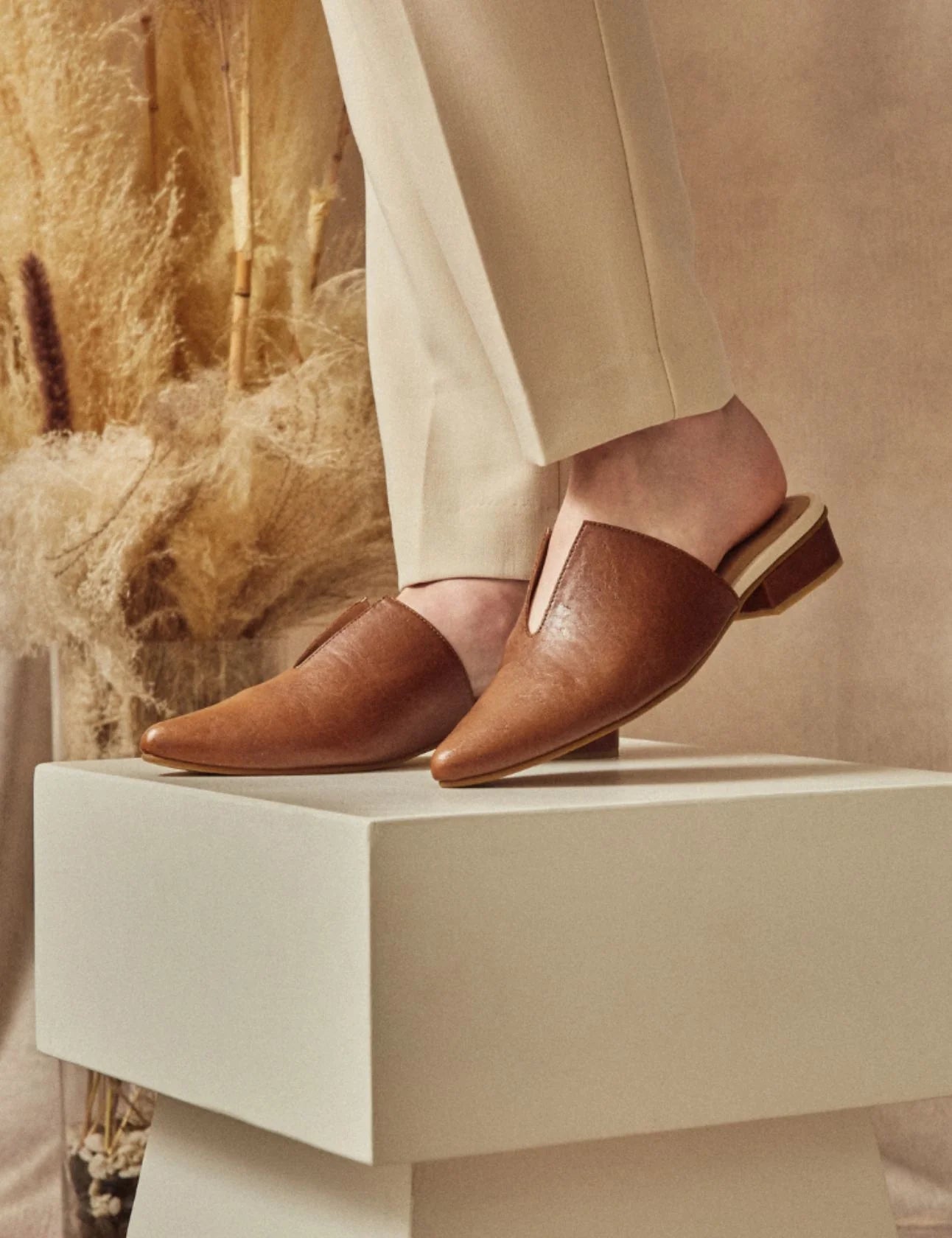 Pijao Mules